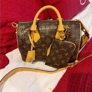 Lv P9 speedy Brown and Tan Designer Handbag Set